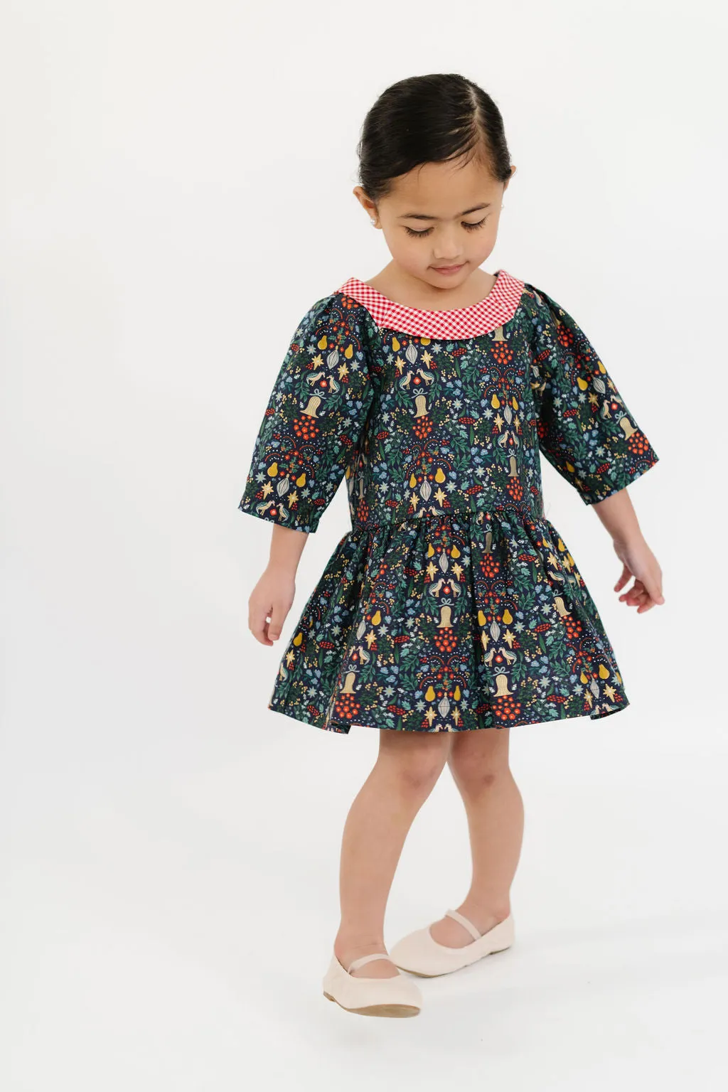 Celebration Dress in Noel