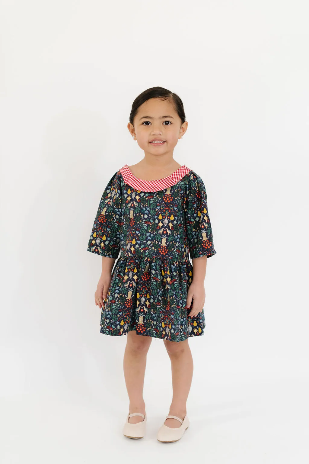 Celebration Dress in Noel