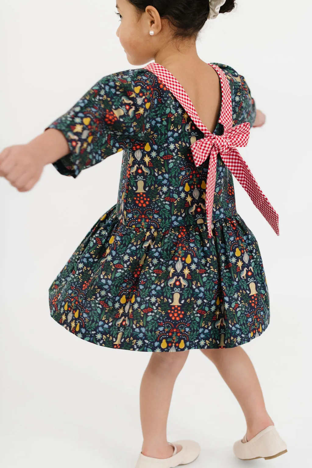Celebration Dress in Noel