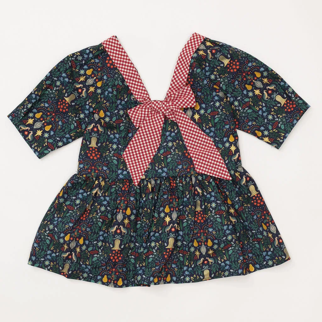 Celebration Dress in Noel
