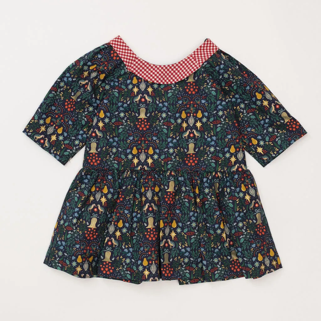 Celebration Dress in Noel